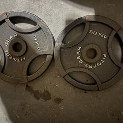 Pair Of 45lb Plates 