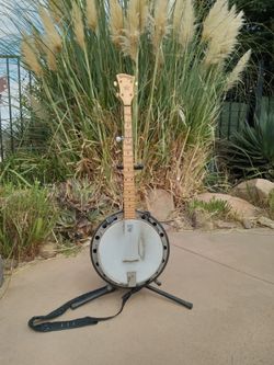 Deering Goodtime 5-string resonator banjo