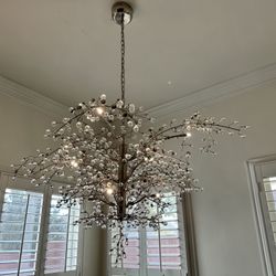 Beautiful Floral-like Chrome Fixture