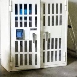Safe AMSEC 2-door Pharmaceutical