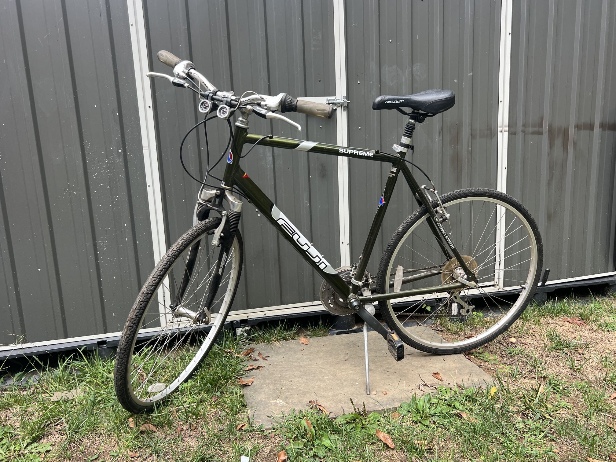 Gorgeous Xl Bike