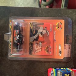NASCAR Robby Gordon