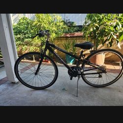 Bike TREK  $100