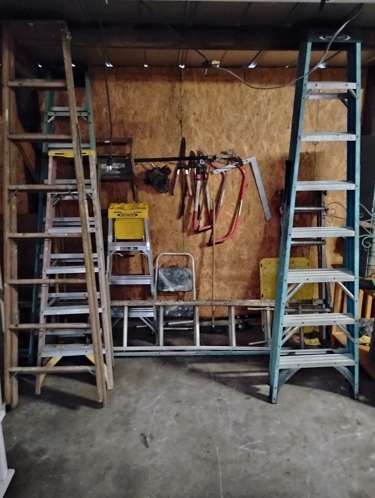 Assorted Height Professional Ladders AllForOne OBO