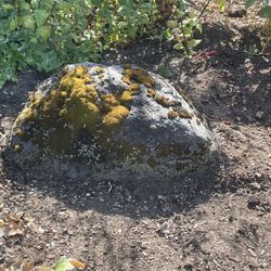 3 Featherstone Rocks