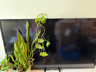 phillips smart tv