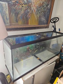 55 gallons fish tank and stand with gravel rocks