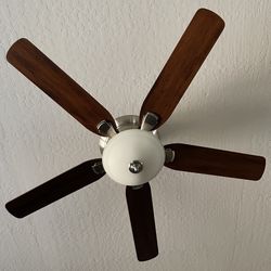 Ceiling Fans 