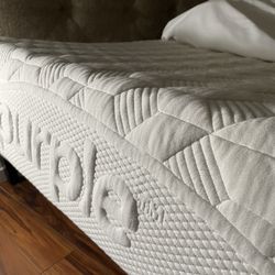 Original  Purple Bed  - Queen