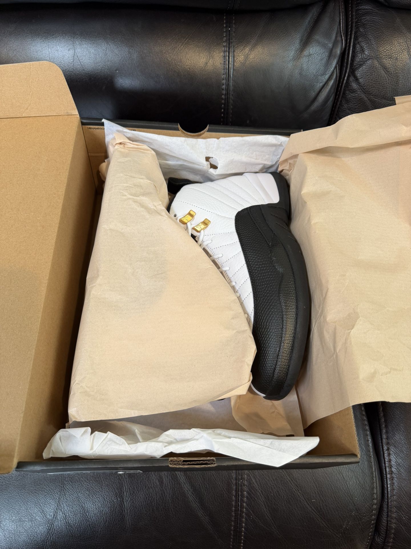 Jordan 12 Taxi Size 10M