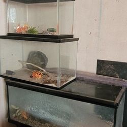 Aquariums 