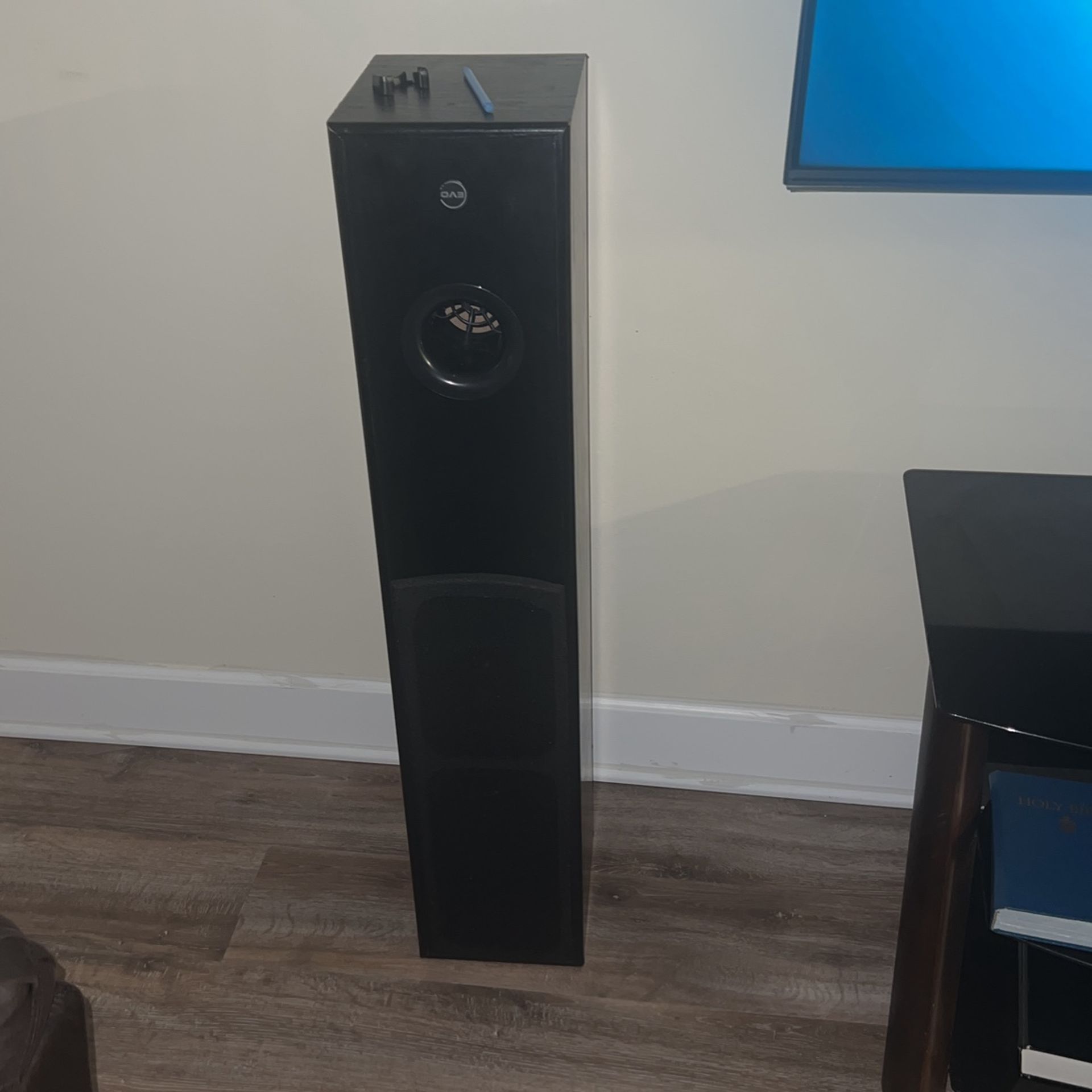 Evolution Sounds & Theater (TS-5500 Audio/video Tower) 