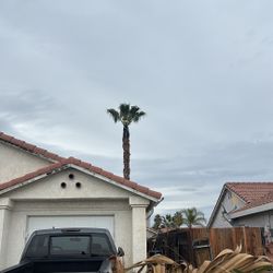 Tree Trimmer For Sale