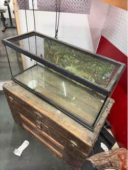 Reptile tanks