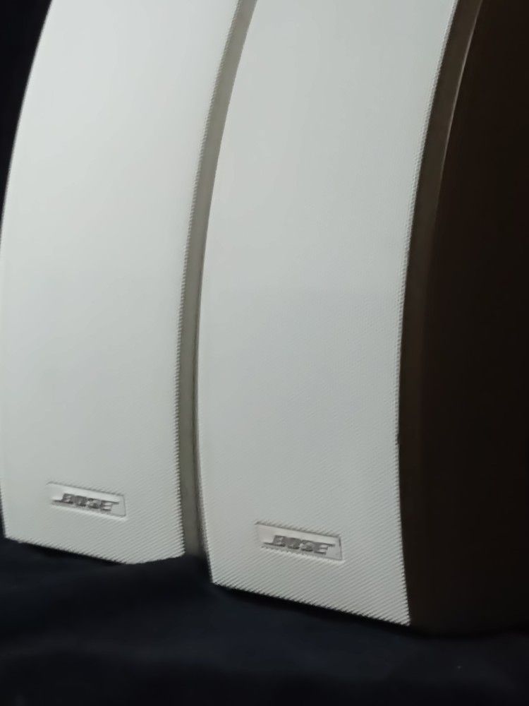 Bose 251 Environmental Speakers