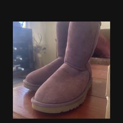 Brand new UGGs and Size 7. And 8. 