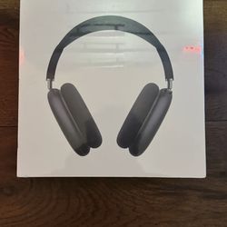 AirPods Max’s black