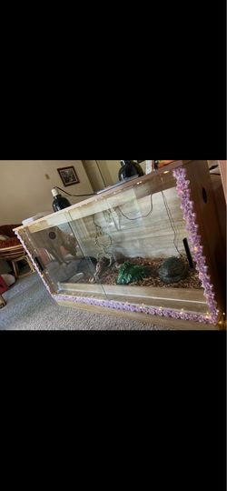 Ready to go large terrarium - everything included