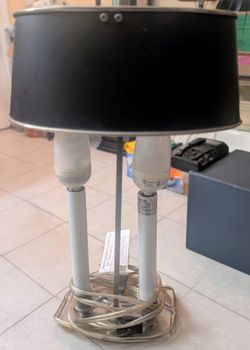 Desk Lamp