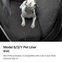 Tesla Dog / Pet Liner