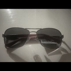Coach Sunglasses