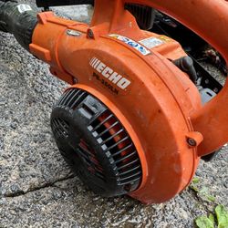 Echo Leaf Blowers Pb250 