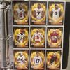 PokeSportsCards