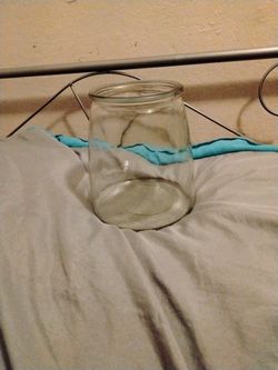 Clear Glass Flower Vase