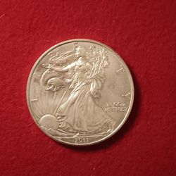 2011 Silver Eagle 