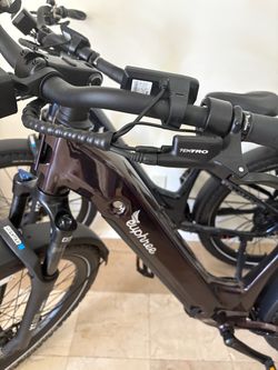 2 e-bikes and a dog carrier