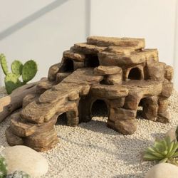Desert cave aquarium