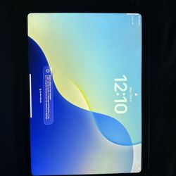 Apple iPad