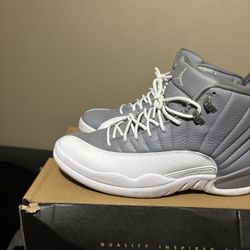 Air Jordan 12 Stealth Size 12