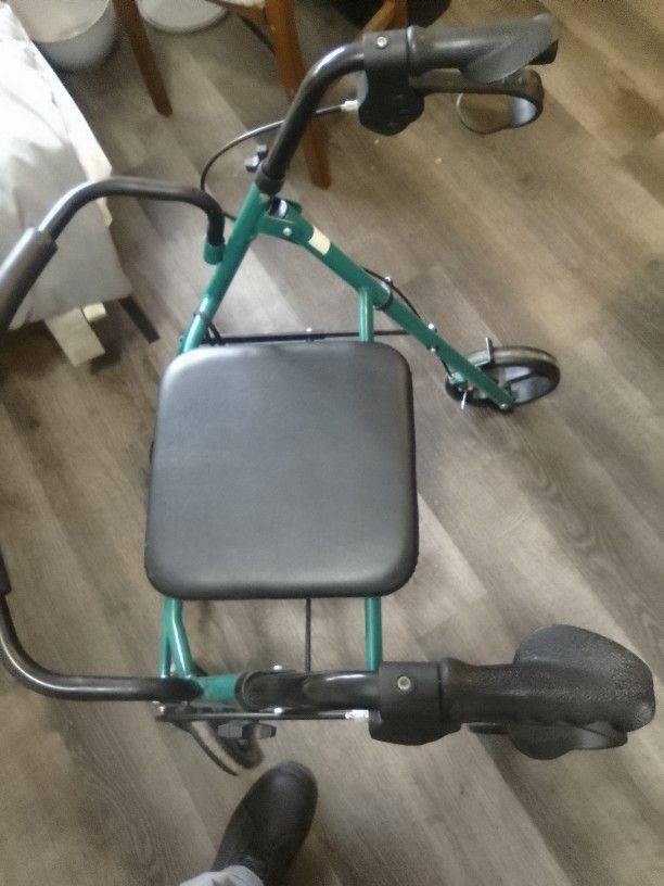 Adult Walker