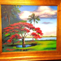 Royal Poinciana By V. Tynes 