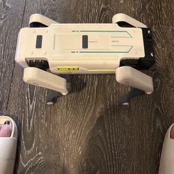 Dog Robot