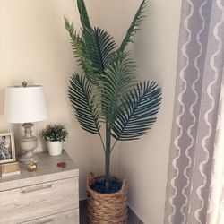 Artificial Palm Plant in Woven Basket