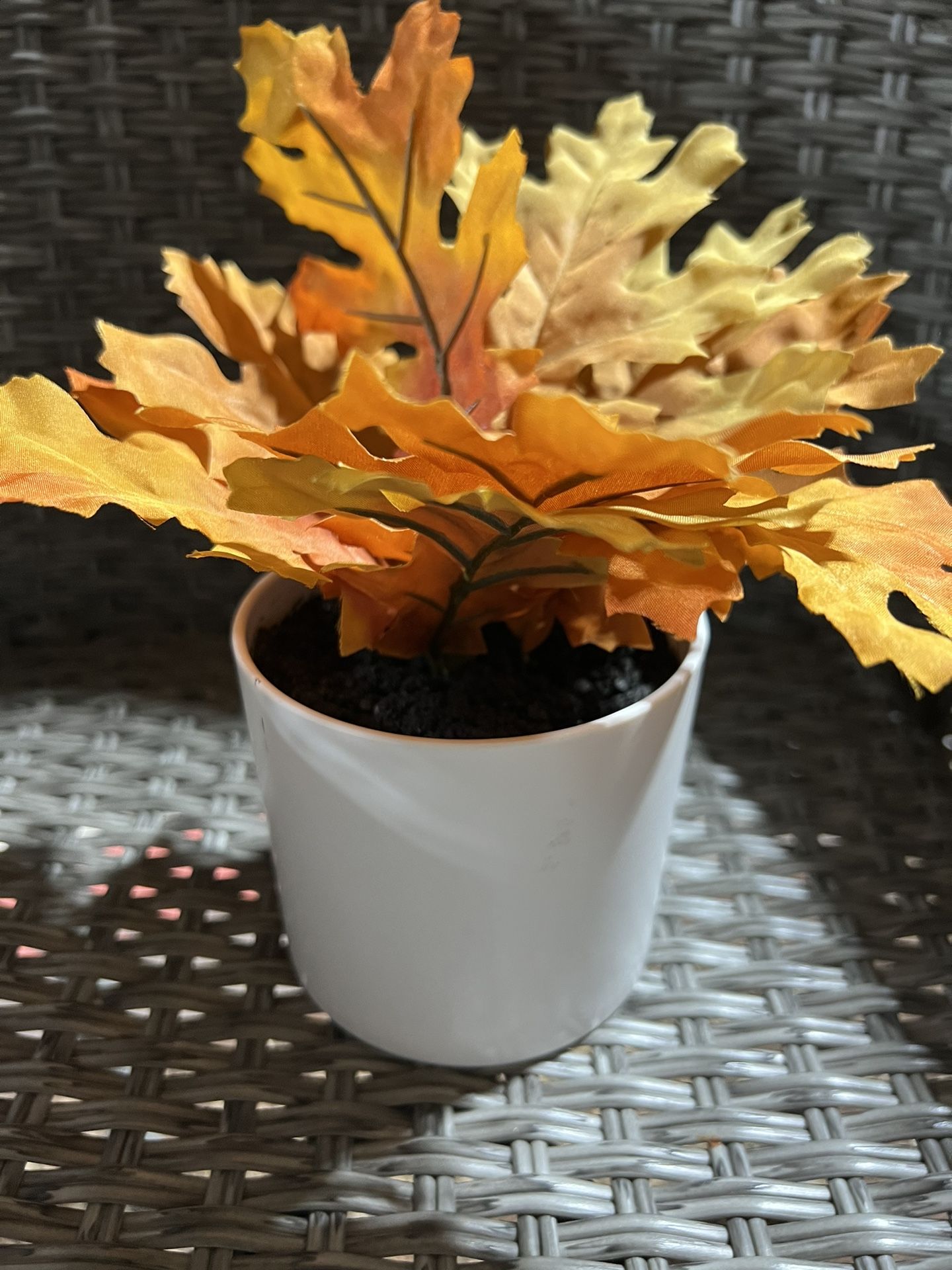 NEW