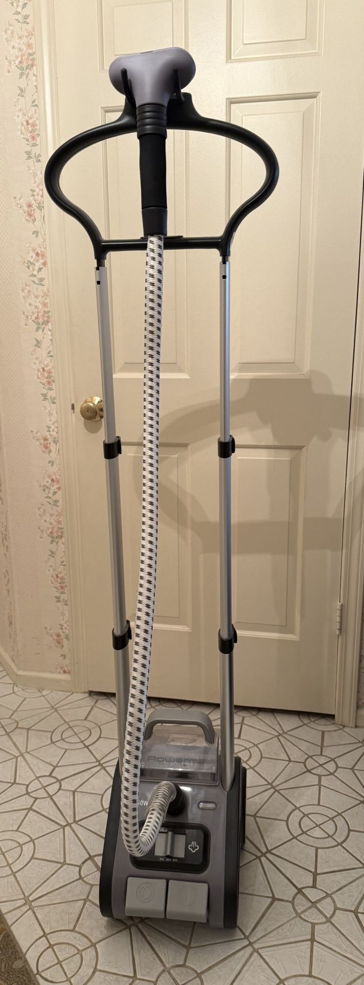 Professional Clothes steamer