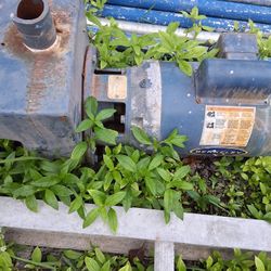 3 Hp Sprinkler Pump Berkley