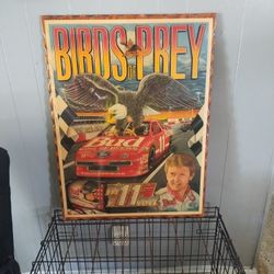 Birds Of Prey Picture Bill Elliott Edition 