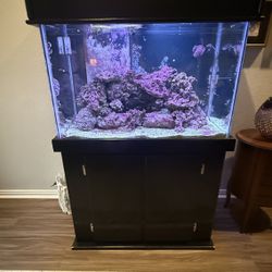 Saltwater Aquarium Full Setup 60 Gallons