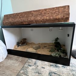 Reptile Cage 