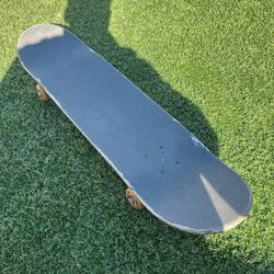 Santa Cruz Skate Board 