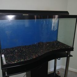 90 Gallon Wave Front Aquarium With Stand And Accesories 