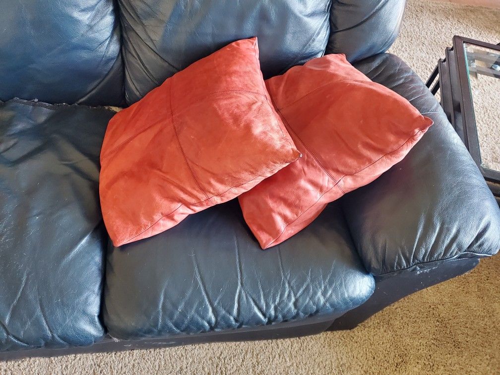 Free Genuine Leather Couch