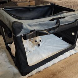 EveryYay Soft Canvas Dog Crate, Collapsible 