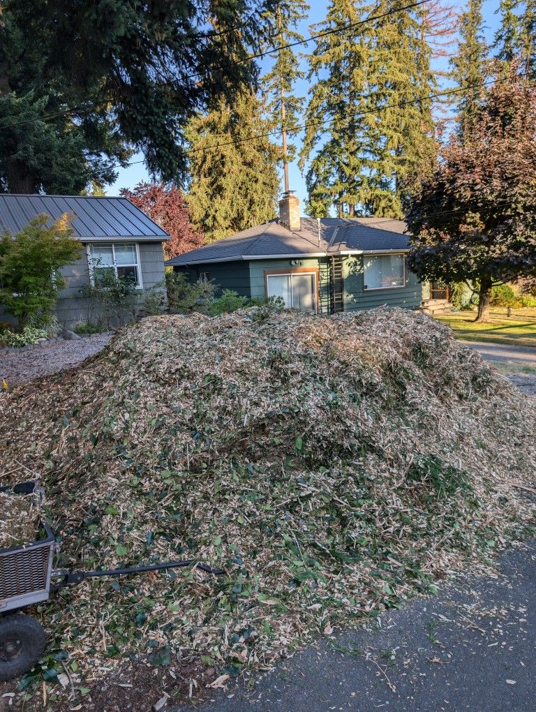 Free Mulch / Mixed Wood Chips