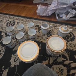 Gorgeous limoge france rhapsody china