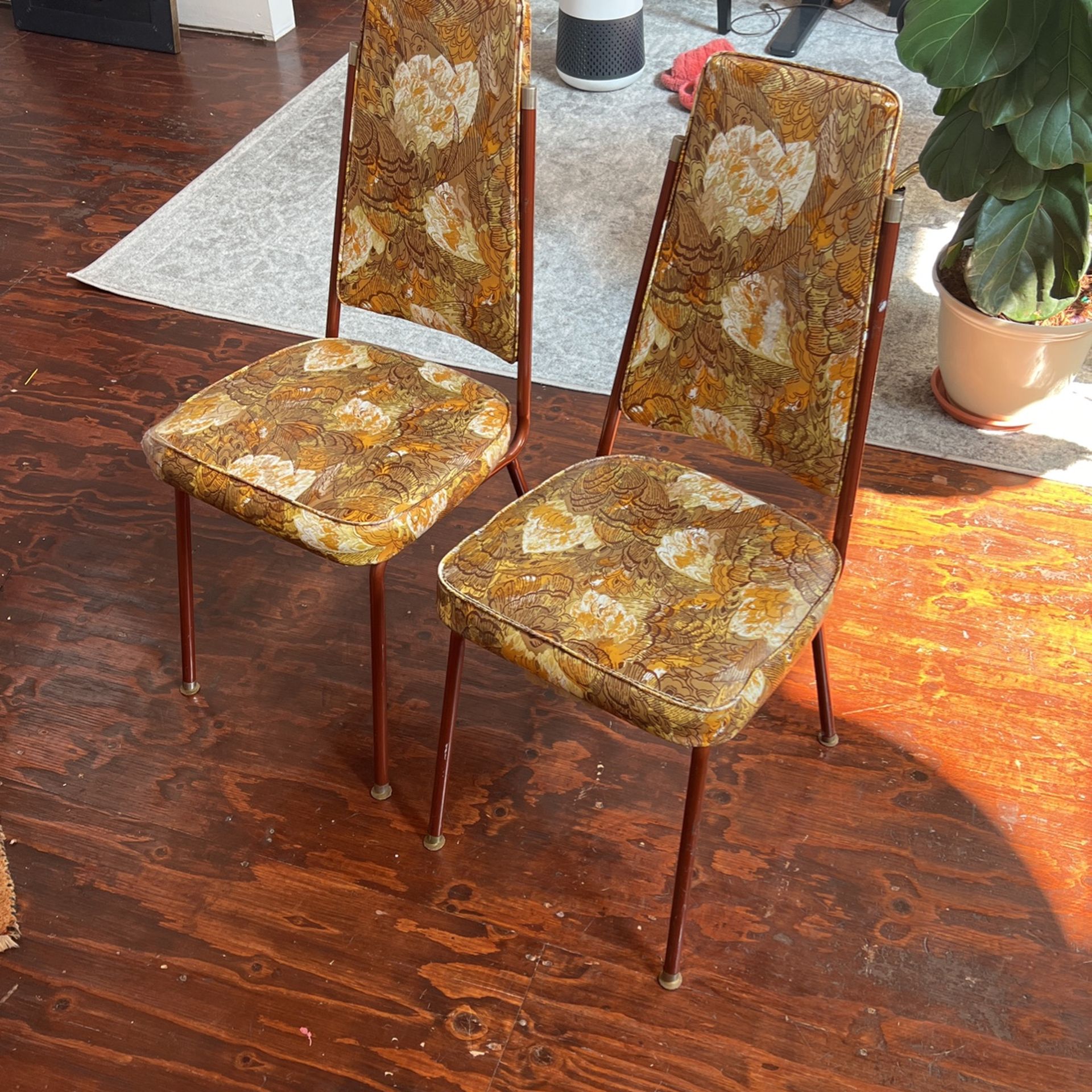 2 Vintage Classic 60s Chairs 